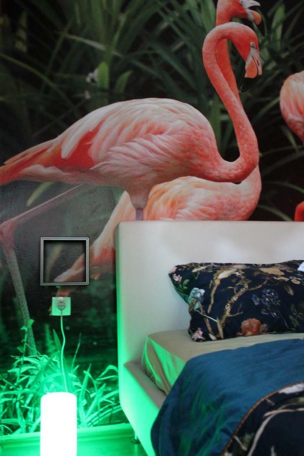 Flamingos Apartman & Fitness Centar Osijek - Blizina Bolnice Kbc Osijek Zewnętrze zdjęcie