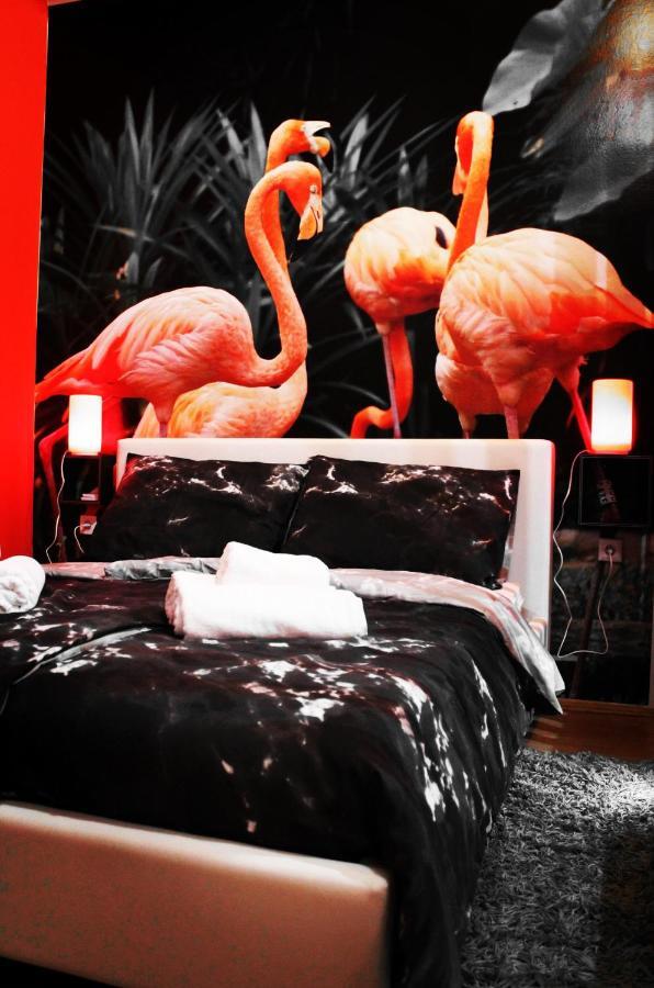 Flamingos Apartman & Fitness Centar Osijek - Blizina Bolnice Kbc Osijek Zewnętrze zdjęcie